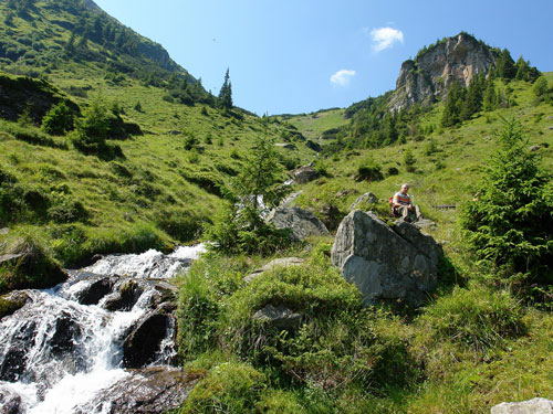 Foto Pe sub Piatra Randunelei (c) Petru Goja